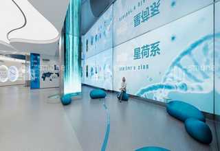 贵阳等离子接地极厂家现货