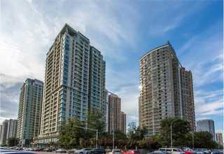 手机壳批发厂家直批销售厂家