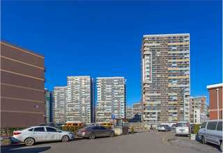 豪华座椅观光车多少钱