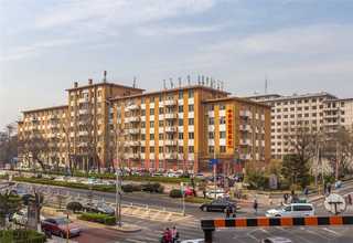 枣庄国内自清洁空气滤清器哪里好