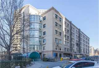 嘉定区梨苗服务电话